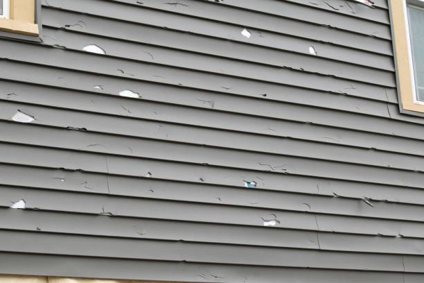 Best Construction Debris Removal  in Sarand, AL